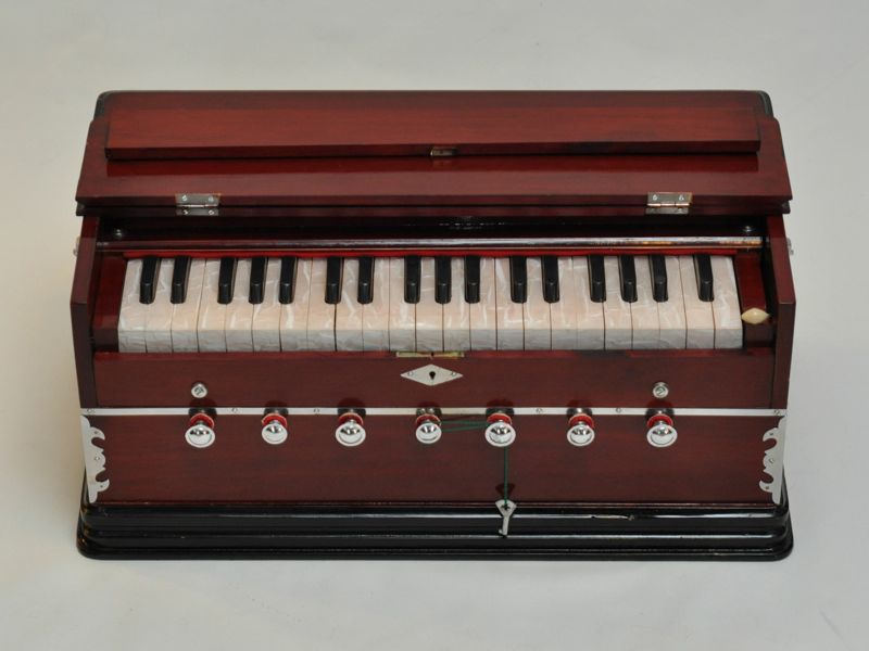 Indian musical instruments